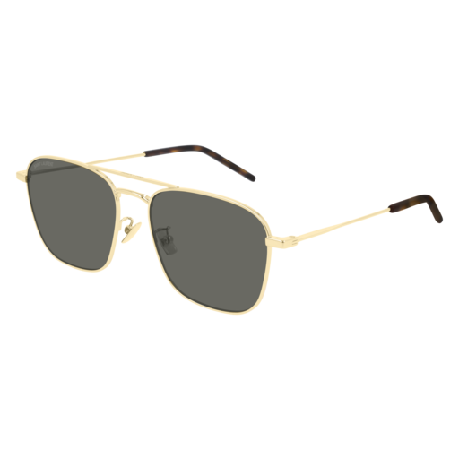 SL 309